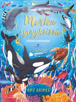 Merten syvyyksissä -kirjan kansikuva