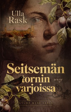 Seitsemän tornin varjoissa -kirjan kansikuva